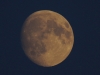 Mond
