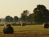 Gegend (1)