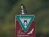 Schwarzkehlchen