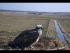 2022-03-21-Adler02
