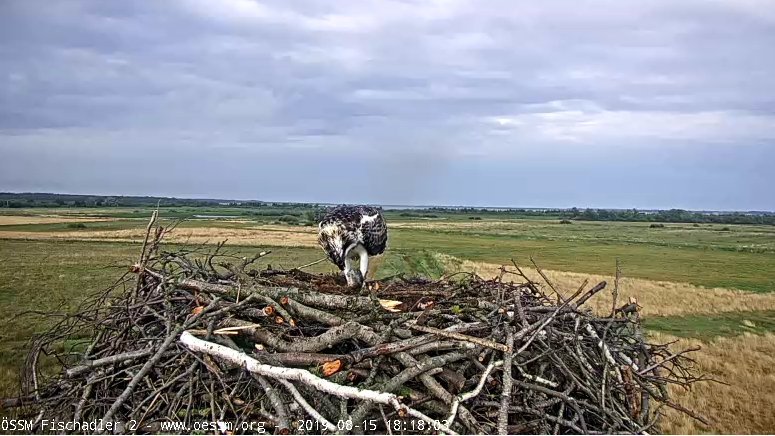 Capture d’écran (13)