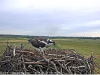 Capture d’écran (25)2
