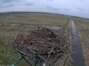 Fischadler16-03-31_16-19-44-14