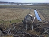 Fischadler218-04-04_10-44-50-64