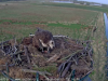 vlcsnap-2018-04-17-18h33m26s541