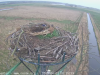 vlcsnap-2019-04-03-10h57m26s381