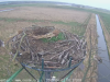 vlcsnap-2019-04-03-11h13m59s568