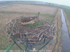vlcsnap-2019-04-03-11h14m54s953