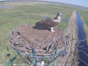 vlcsnap-2020-03-23-13h29m47s169