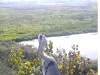Screenshot_20230910-112825_Chrome