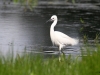 winzlar-05-06-2012-084