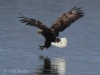 07-seeadler-ad-13-03-2014