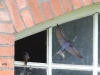 05 Hausrotschwanz + Rauchschwalbe Winzlar 29.06.2016