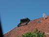 01 Storch  RdumsStMe 21.05.2018 004
