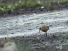 04  Kampflaeufer Heudamm 17.08.2019 172