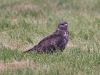 IMG_0306k