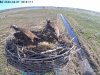 7.4.2026-Fremder-Fischadler-im-Anflug-1