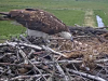 Bildschirmfoto 2020-05-22 um 16.51.05