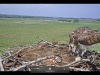 Bildschirmfoto-2021-05-18-um-15.53.37