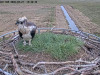DSCN0560_2