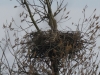 Steinhuder Meer 20170331_002