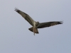 k-IMG_5275