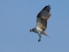 k-IMG_0702