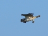 k-IMG_0708