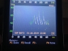 Sonogramm Myotis spec.
