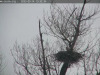 hintergrund3