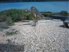 C6DE0712B3F545E3A5B45B807E12F7A6