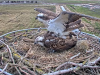 videoframe_4294967295-34