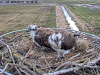videoframe_4294967295-41