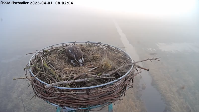 videoframe_2297277