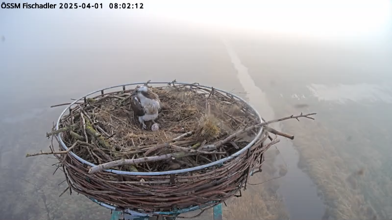 videoframe_2305152