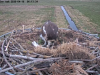 videoframe_115561