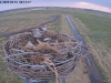 videoframe_51038