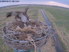 videoframe_55926