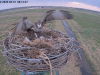 videoframe_60729