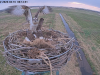 videoframe_65948