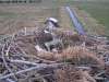 videoframe_78803
