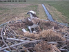 videoframe_87434