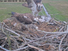videoframe_353299