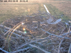 videoframe_406495