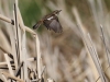 374