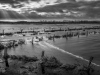 Hochwasser-1