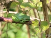 kl_IMG_4962