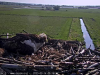 vlcsnap-2023-05-14-09h16m29s309