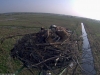 Fischadler16-04-12_08-58-44-44