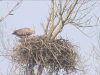 Seeadler201616-02-27_13-56-10-80